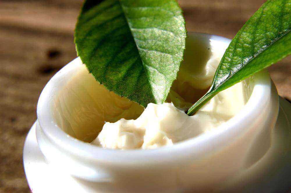 Glass jar of moisturizer with leaves reaching into it